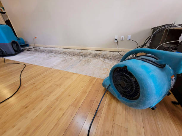 Professional Water Removal technician working in Port Gamble, WA